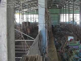 Webcam in Jinju,South Korea