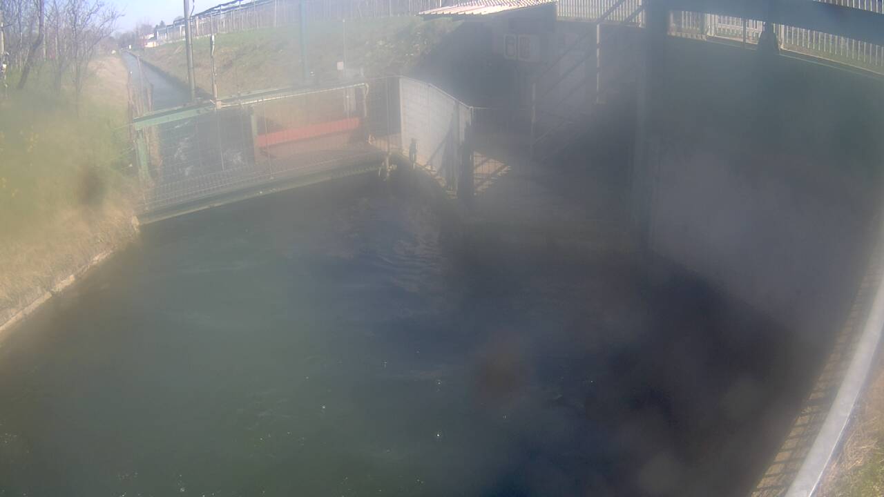 Webcam in Cervignasco,Italy