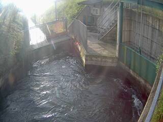 Water Management