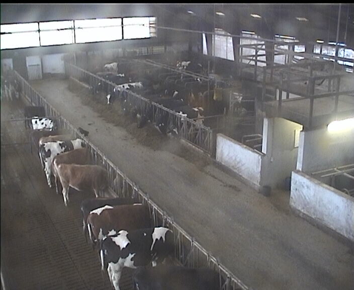 Webcam in Gistrup,Denmark