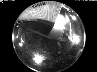Security webcam