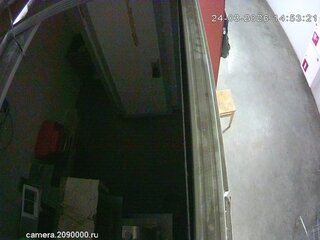 Security webcam