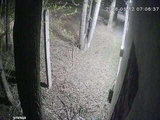 Security webcam