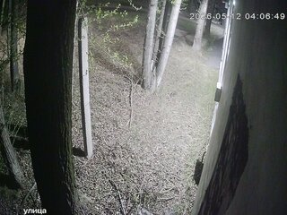 Security webcam