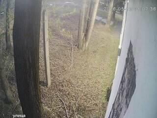 Security webcam