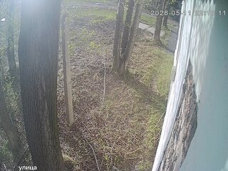 Security webcam
