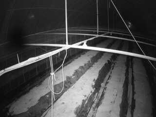 Greenhouse