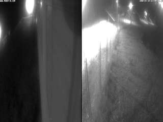 Webcam in Trani,Italy