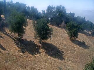 Hillside view