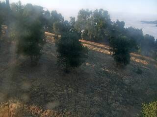 Hillside view