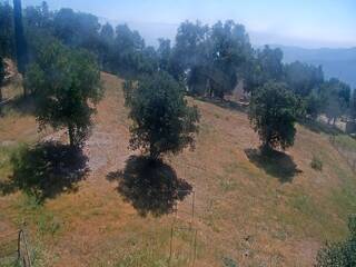 Webcam in Los Angeles,United States