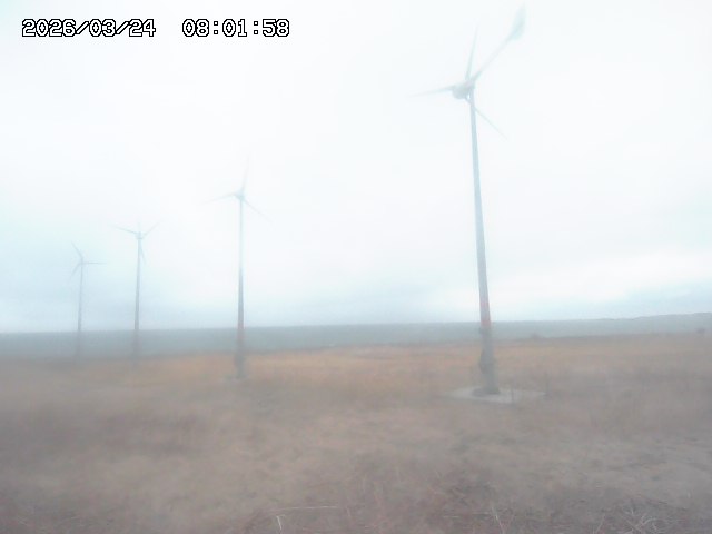 Webcam in Iwaki,Japan