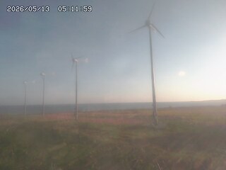 Windmills