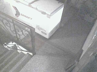 Security webcam