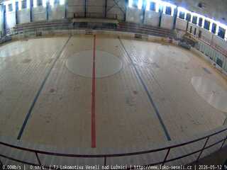 Hockey ring