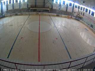 Hockey ring