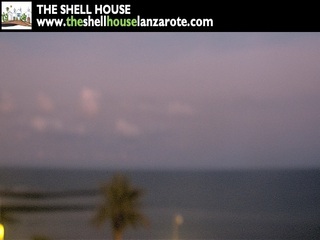 The Shell House