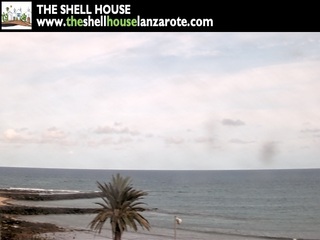 The Shell House