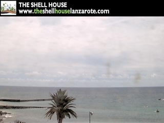The Shell House