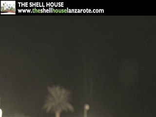 The Shell House