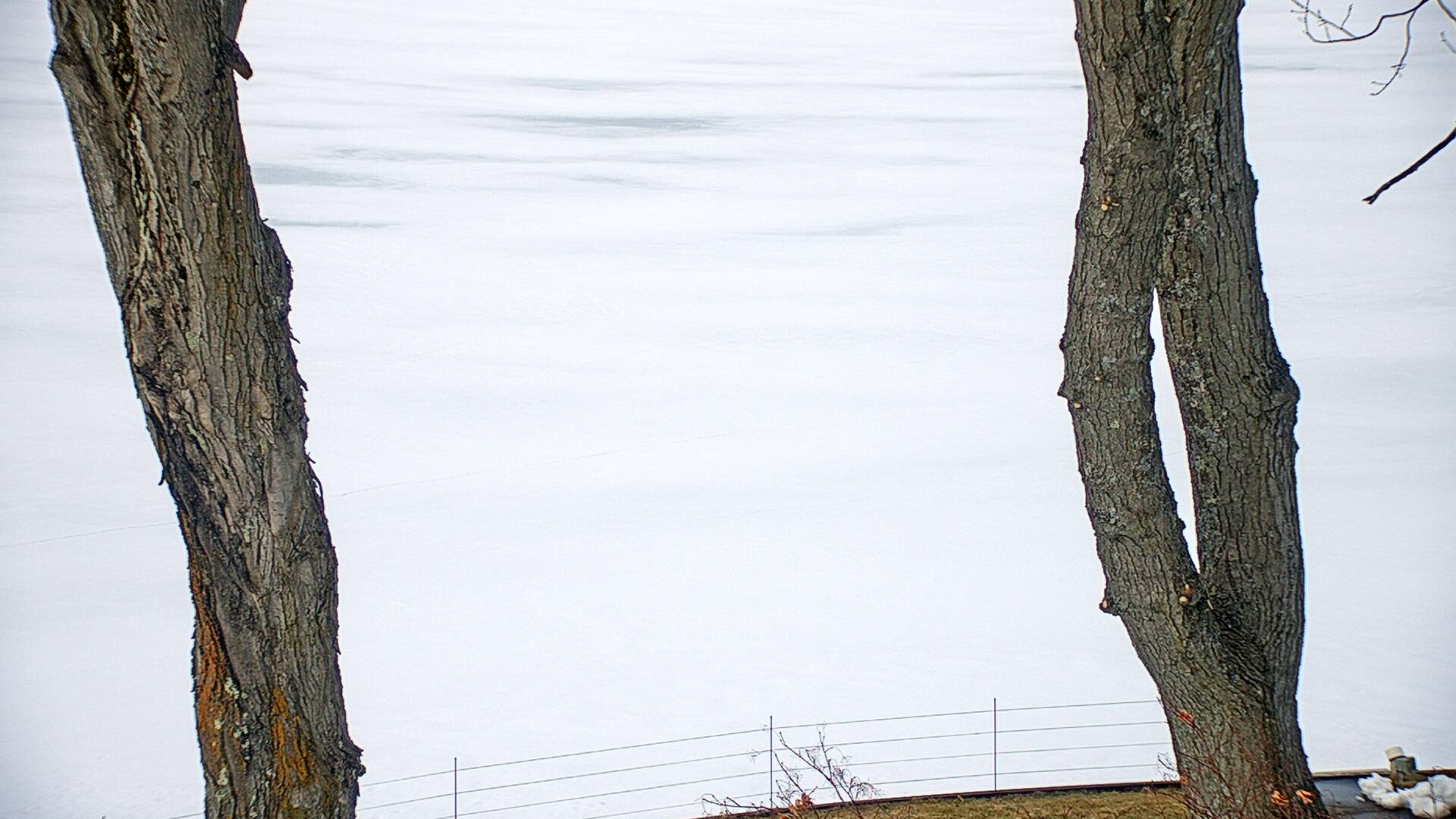 Webcam in Oscoda,United States