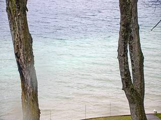 Lake view