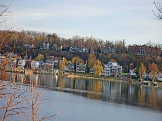 Lake view