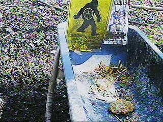 Webcam in Kenton,United States