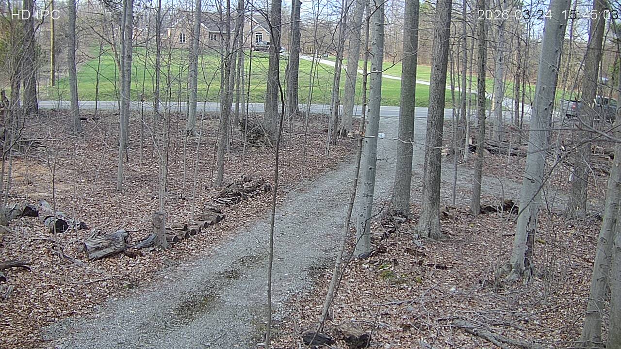 Webcam in Canfield,United States