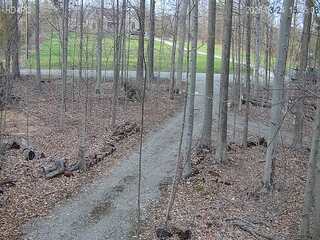 Webcam in Canfield,United States