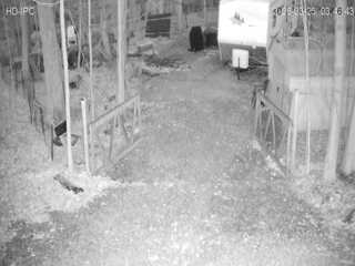 Webcam in Canfield,United States