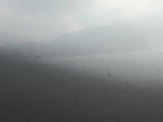 Webcam in Dallas,United States