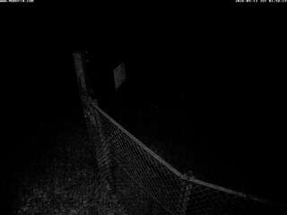 Fence