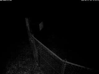 Fence