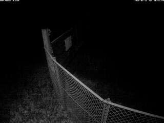 Fence