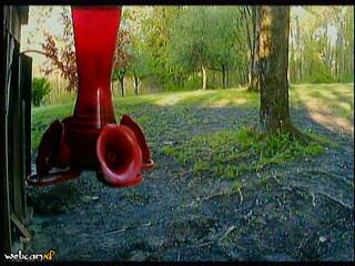 Woods