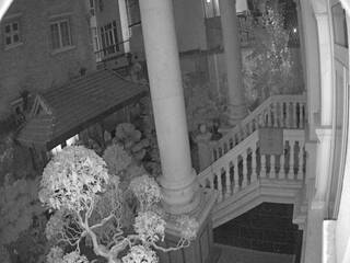 Porch & Garden