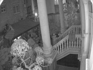 Porch & Garden