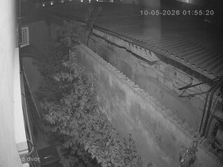 Security webcam