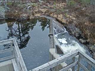 Dam