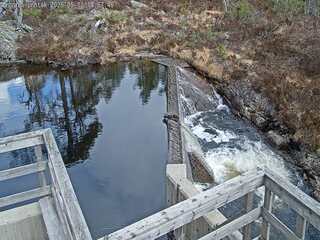 Dam