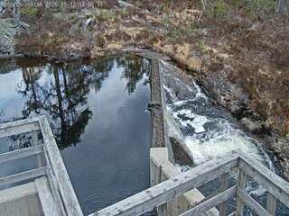 Dam