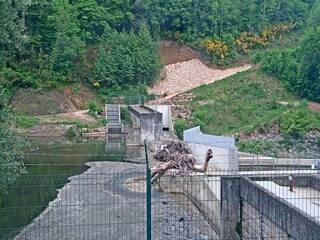 Water Management
