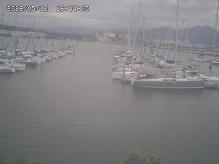 Harbor