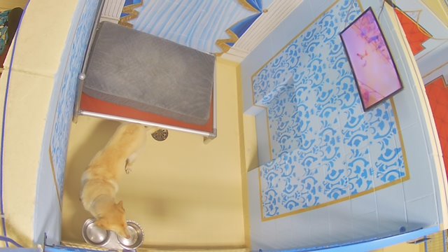 Webcam in New Boston,United States