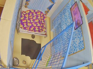 Dog Kennel
