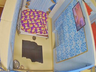 Dog Kennel