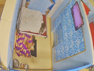 Dog Kennel