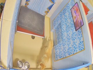 Webcam in New Boston,United States