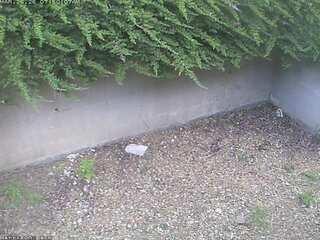 Webcam in Chattanooga,United States